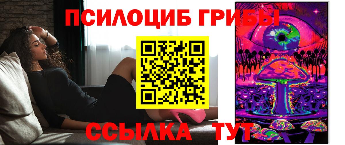 Псилоцибиновые грибы Cubensis Воркута