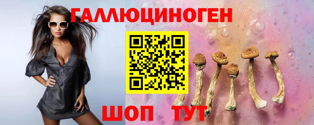 Псилоцибиновые грибы Psilocybe  Вход с VPN  Воркута 